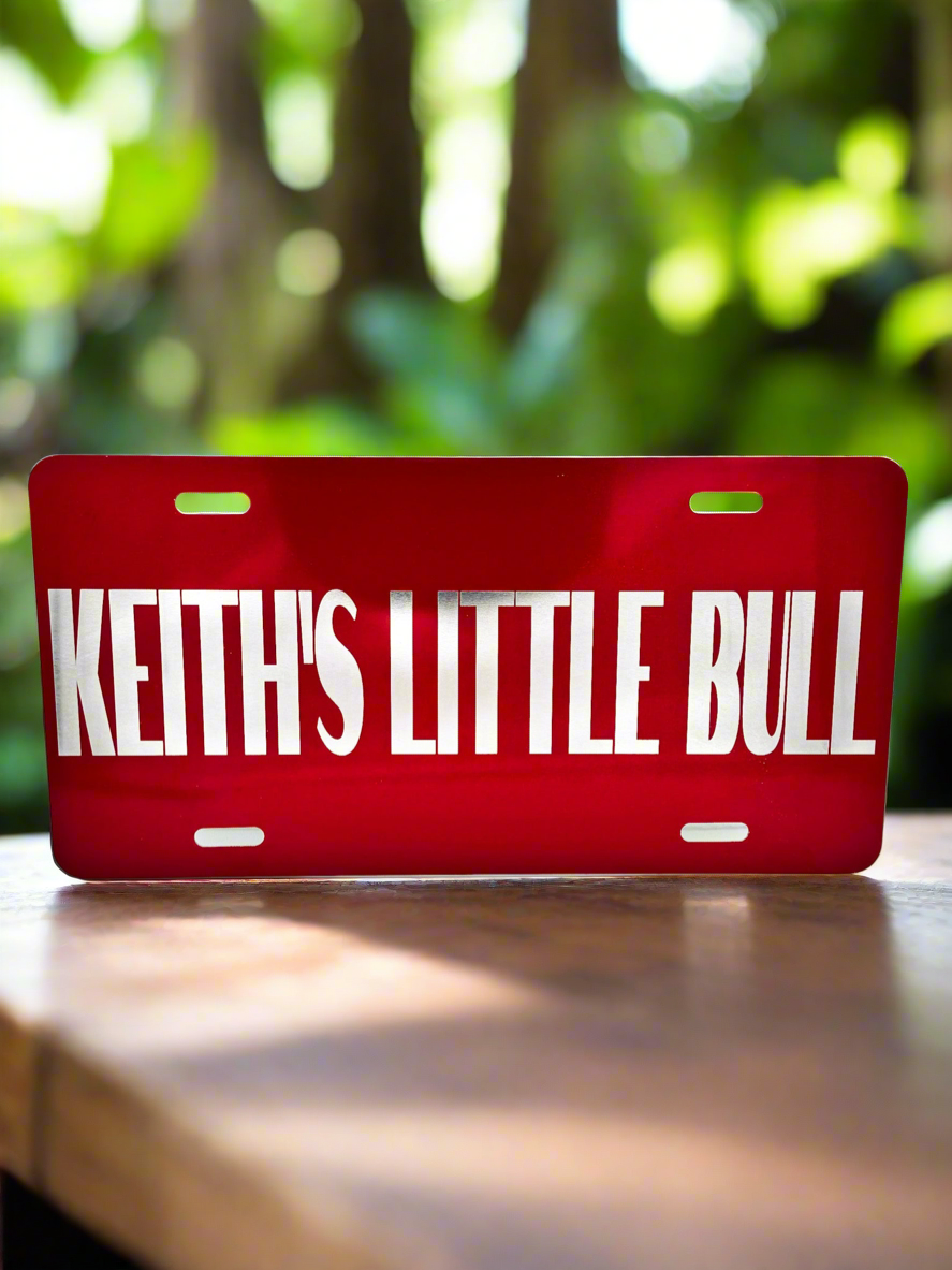 Custom Laser Engraved Aluminum License Plate with Font Choices