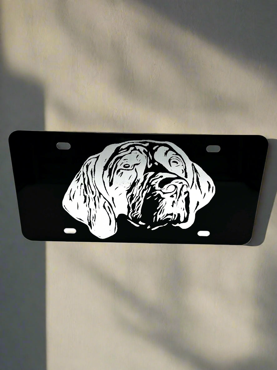Custom Laser Engraved Aluminum License Plate with Font Choices